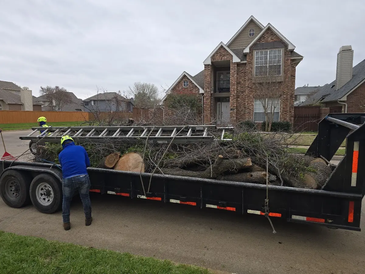Expert Tree Fertilization with proper safety equipment in Alva